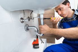 Best Garbage Disposal Repair and Installation  in Aledo, TX